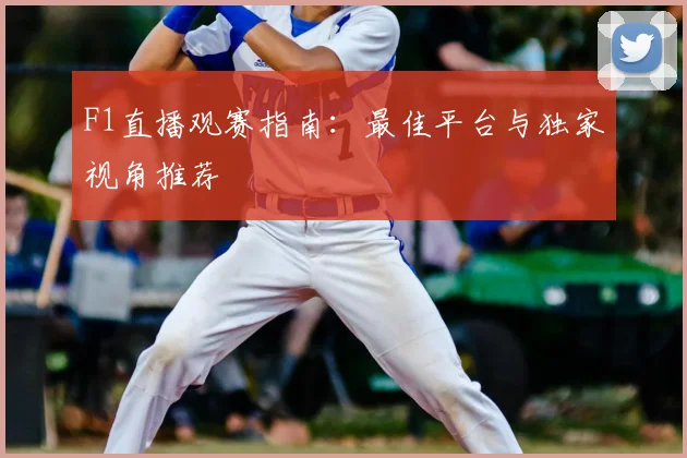 F1直播观赛指南：最佳平台与独家视角推荐