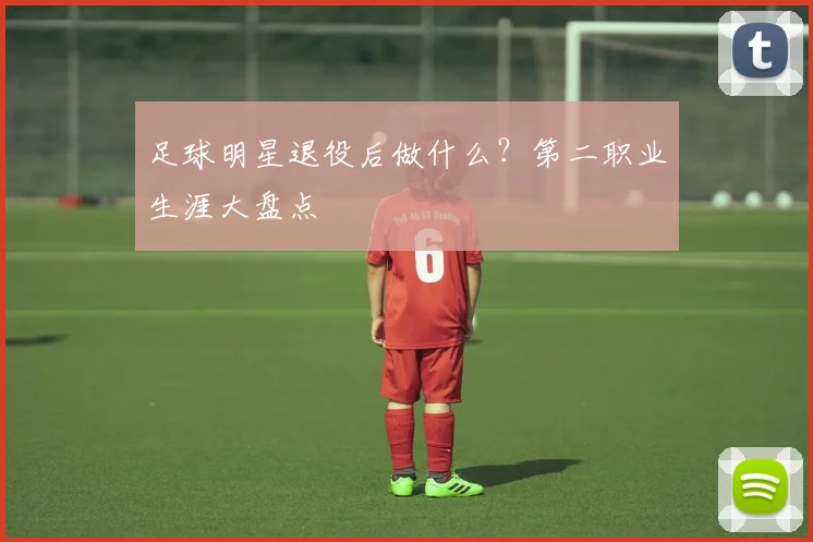 足球明星退役后做什么？第二职业生涯大盘点