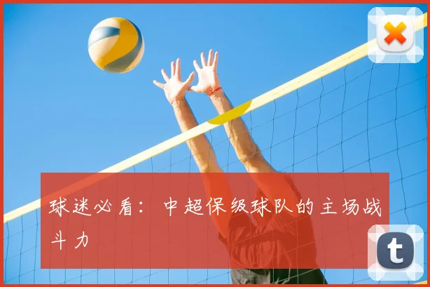 球迷必看:中超保级球队的主场战斗力